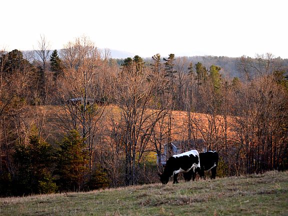 4th image of 1326 Heidelbach School Road