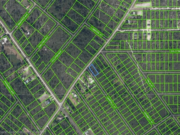635 Hallmark Ave, Lake Placid, FL 33852