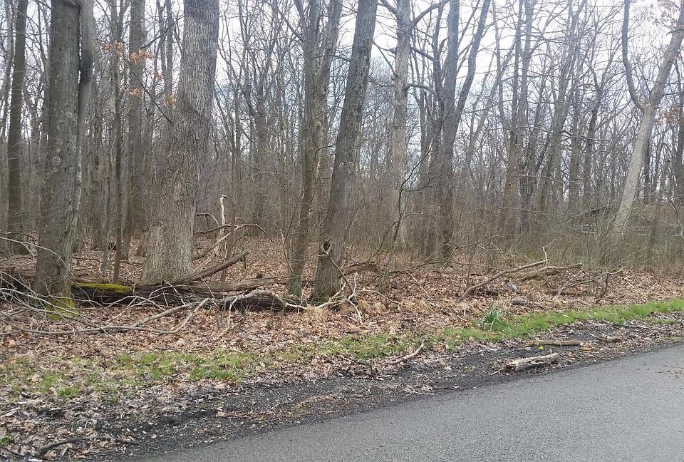 2nd image of 239 E Lake Rd
