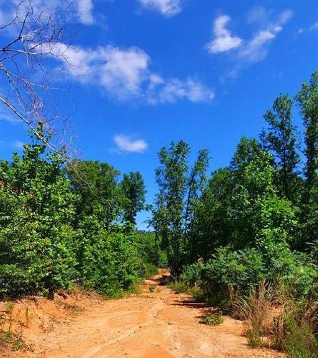 1st image of County Road 123 #0