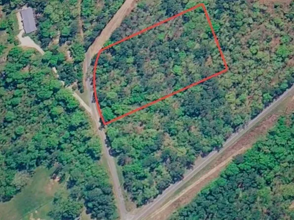 0 Tab Lee Ln Lot 2, Ashland, AL 36251