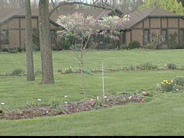 2nd image of 1655 Wren Ln