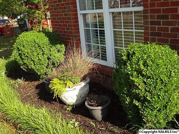 5th image of 116 Monrovia Cove Ln