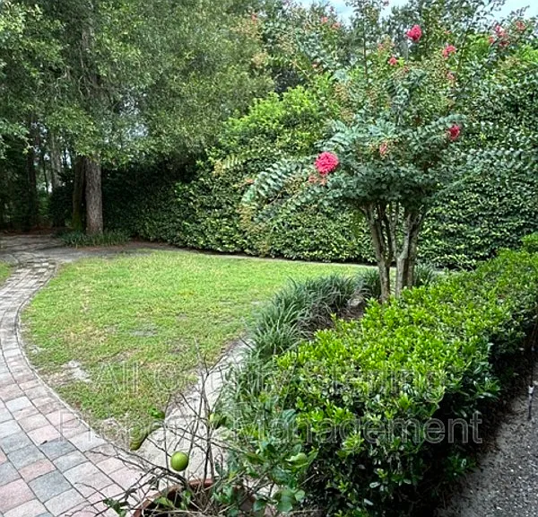 184 Birchmont Dr — Photo 27