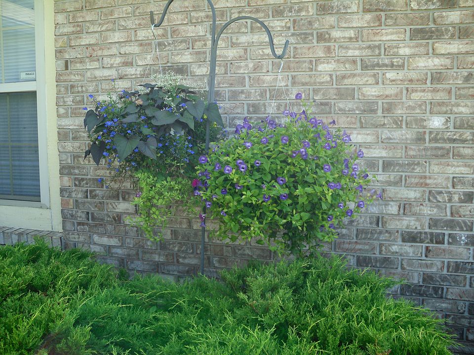 1st image of 4613 Pine Park Ln