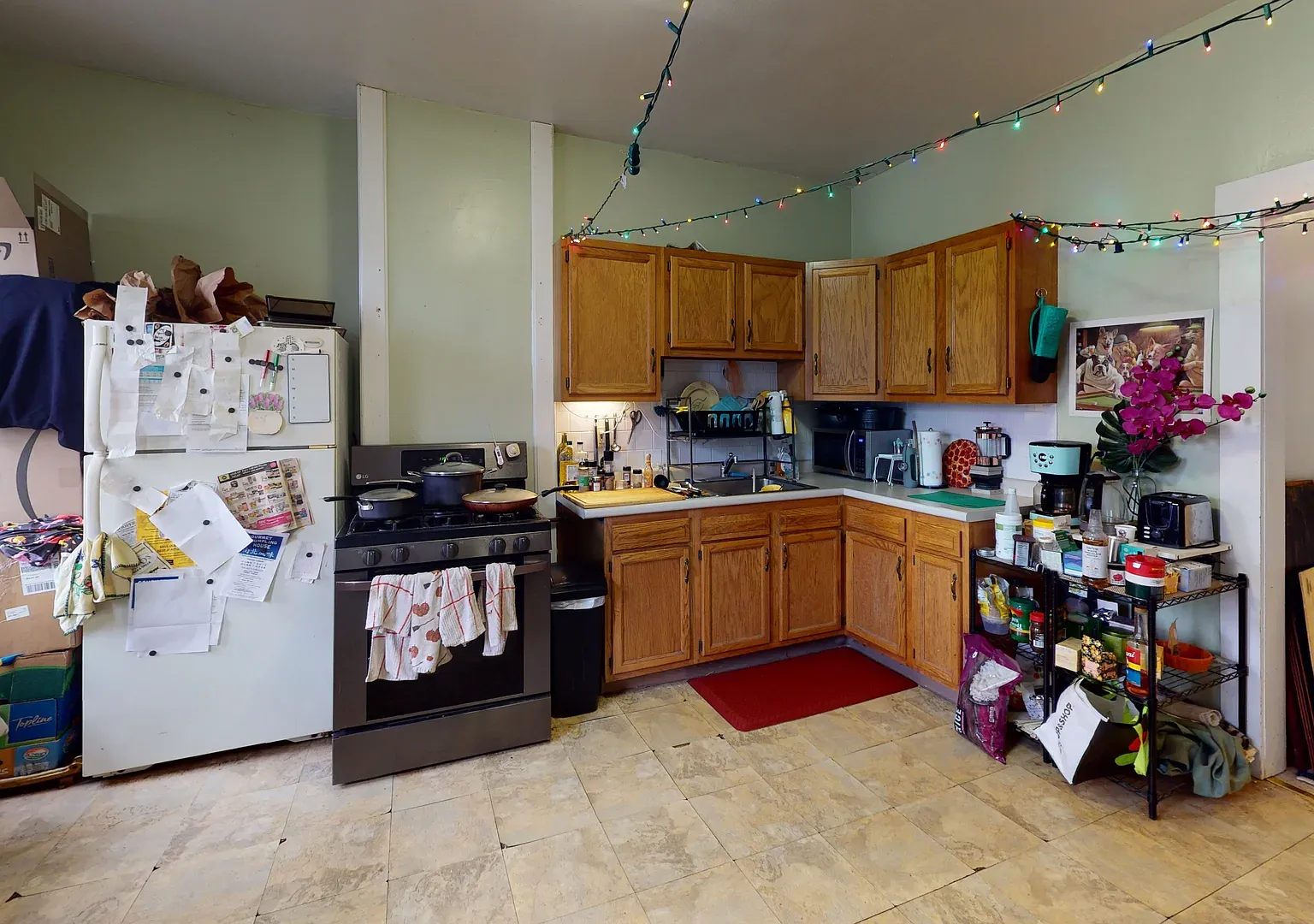 36 Mozart St. #2 Jamaica Plain — Photo 2