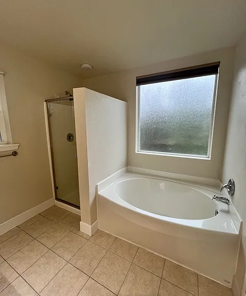 Large tub and walk in shower