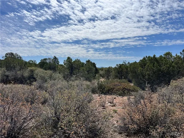 42 N Puma Dr, Kingman, AZ 86401