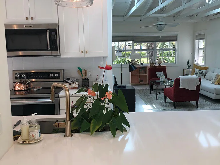 Kitchen Counter to living area and front windows. Plants being watered in sink. Whoops.