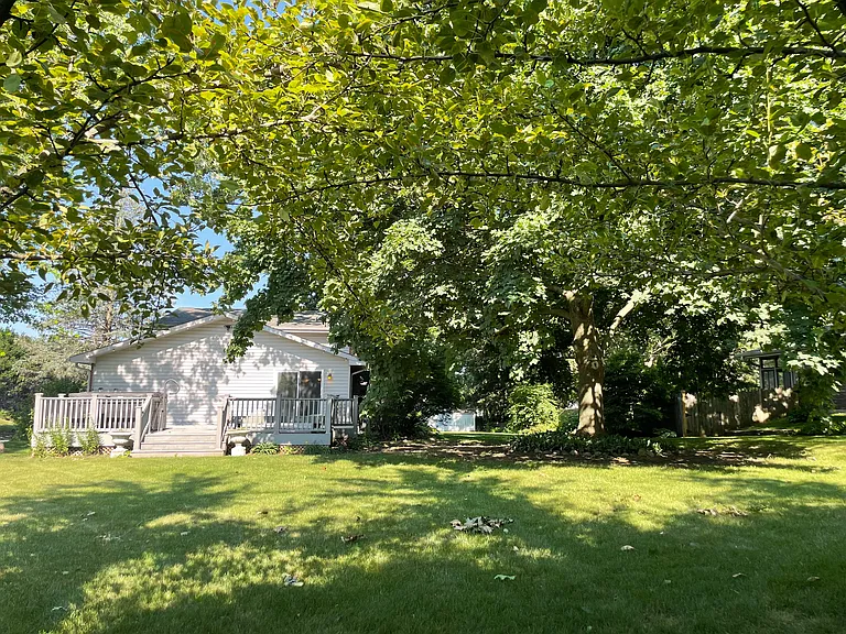 BACKYARD_06252024