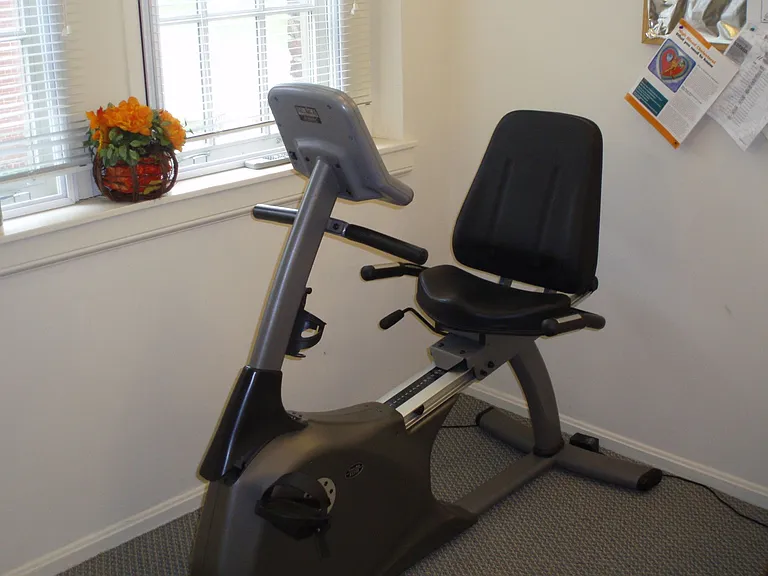 Fitness Bike