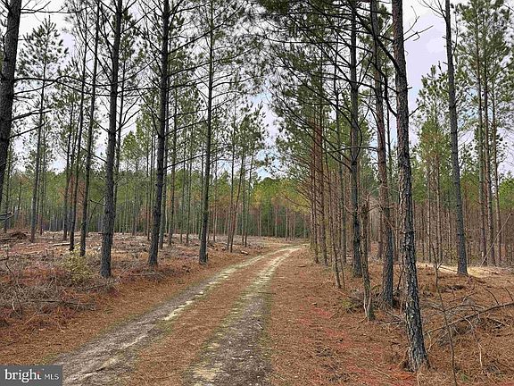 3rd image of Calvary Church Rd #Et2-2011