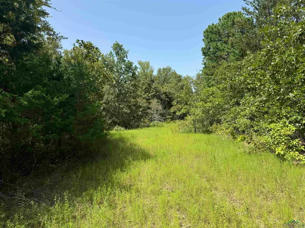 1969 S Dm, Longview, TX 75603