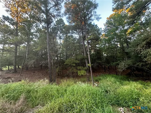 Moccasin Trl, La Grange, TX 78945