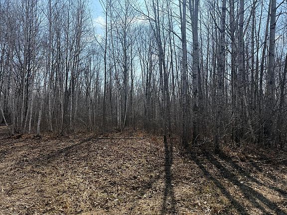 4th image of Beaver Claw Rd