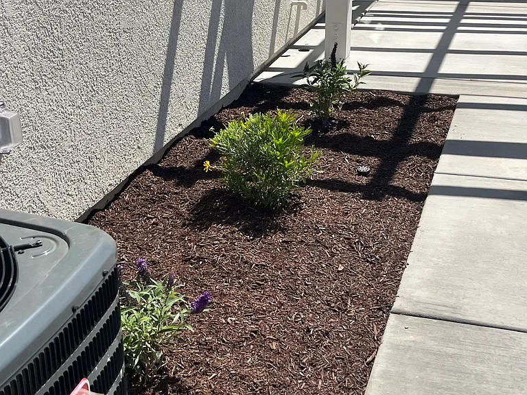 1072 Silverado Way — Photo 20
