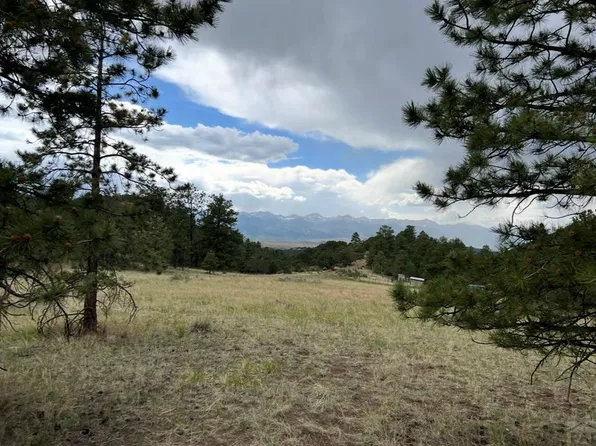 LOT 52 Tamarac Rd, Westcliffe, CO 81252