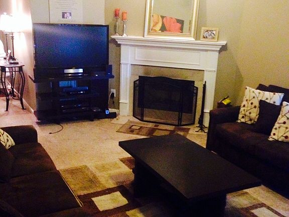 Wood burning fireplace