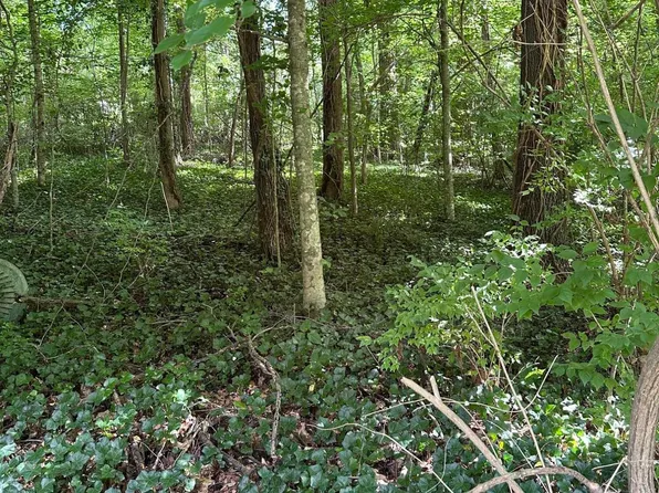 2506 Shaler Ln, Knoxville, TN 37920
