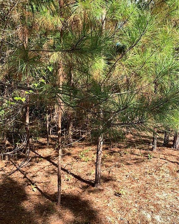 2nd image of 276AC Courthouse Hwy