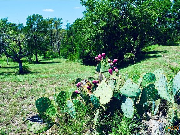 4th image of 8060 County Road 210