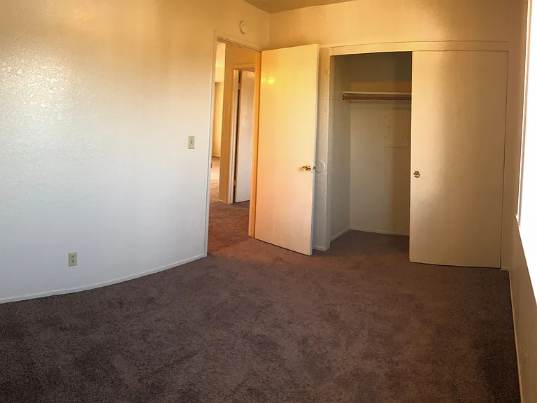 3153 Eucalyptus St — Photo 3