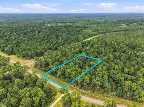15890 Four Hills Rd, Willis, TX 77378
