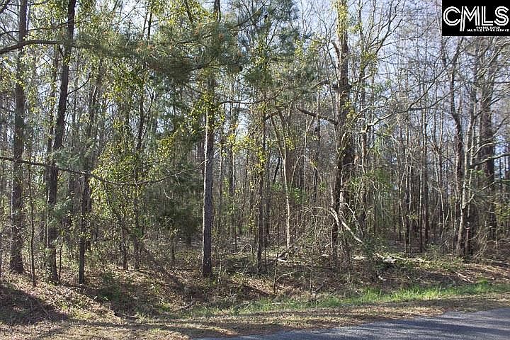 2nd image of 205 Shetland Rd