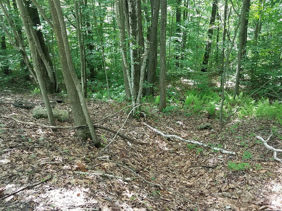 2nd image of Lehigh Rd