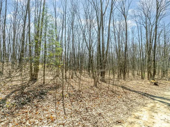 Nancy Ann Rd, Gladwin, MI 48624