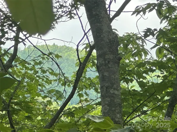 Executive Estates Dr #5 & 6, Old Fort, NC 28762