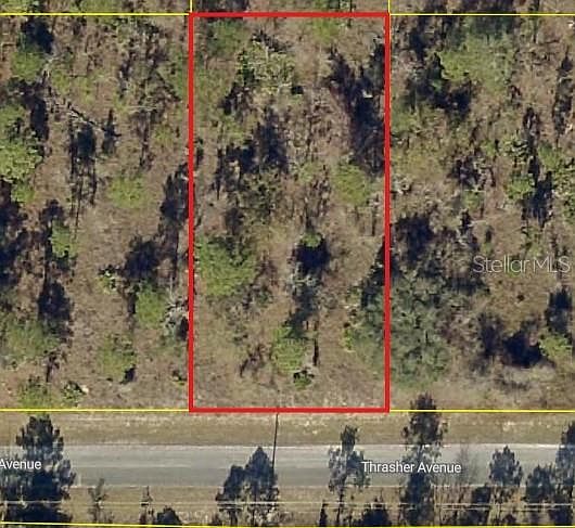 1st image of 0 THRASHER AVENUE LOT 25