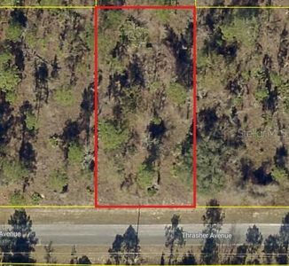 0 Thrasher Ave Lot 25, Brooksville, FL, 34614