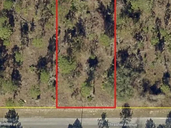0 Thrasher Ave Lot 25, Brooksville, FL 34614