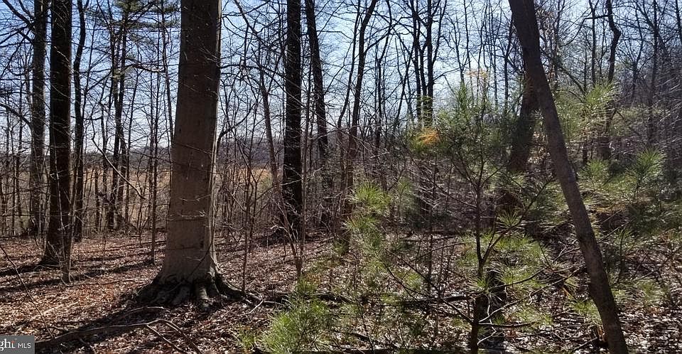 2nd image of 406 Funt Rd