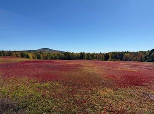 Map31lot29 Land Perkins, Blue Hill, ME 04614