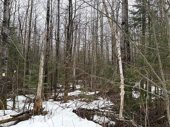 5th image of ON Hofer Road