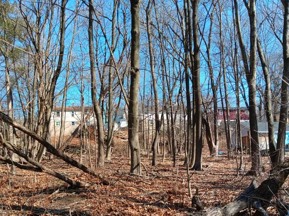 Lot 201 Beech Street, Waterbury, CT 06704