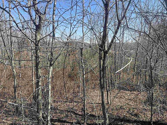 3rd image of 3 David Brown Rd