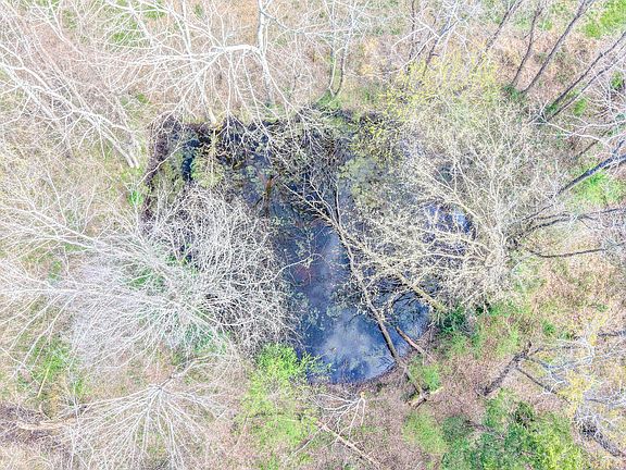 4th image of 4314 Woodrow Wilson Rd