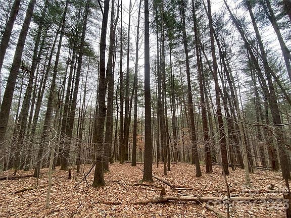 3rd image of 476 Old Wildlife Club Dr #112