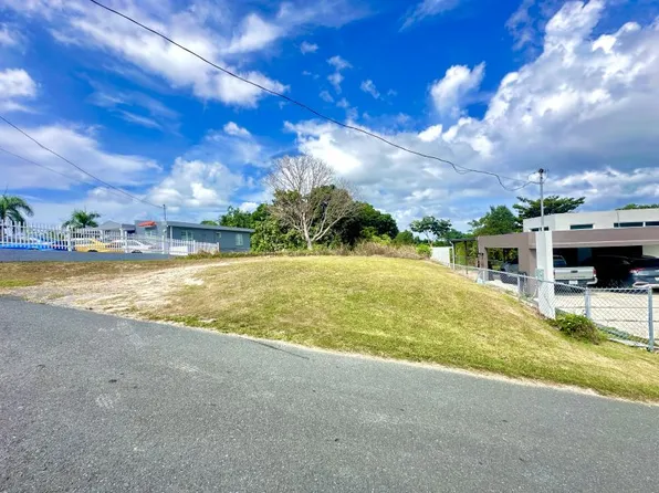 Bo Palmarejo Lote #60, Corozal, PR 00783