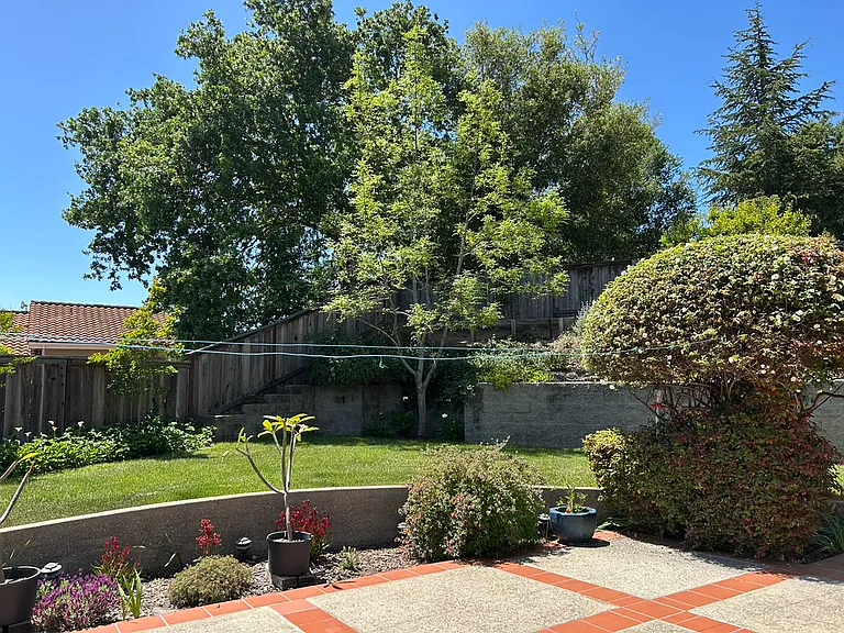 1407 Boxwood Ct — Photo 3