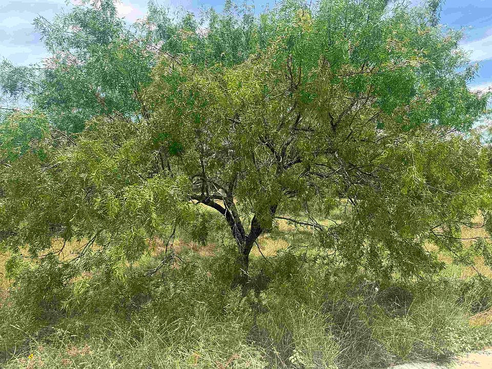1st image of 312 Lakawana