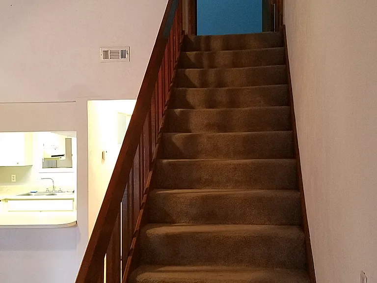 4019 Chipola St #1 — Photo 6