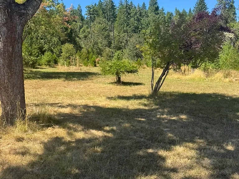 Harry Taylor Rd — Photo 5