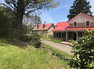 248 Catatonk Hill Rd, Candor, NY 13743