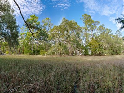2445 Bateau Trce, Johns Island, SC, 29455