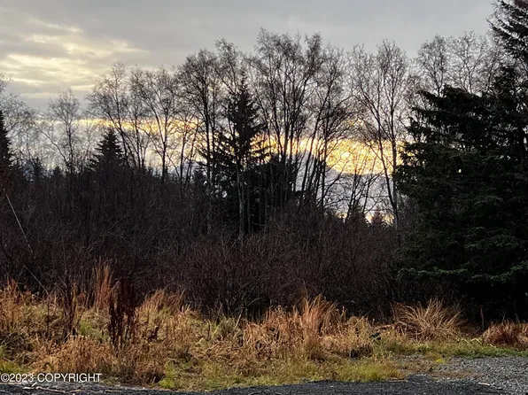 4668 S Slope Dr, Homer, AK 99603