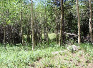 9423 Stewart Gulch Rd #9423, Black Hawk, CO 80422